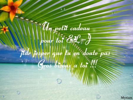 le cadeau